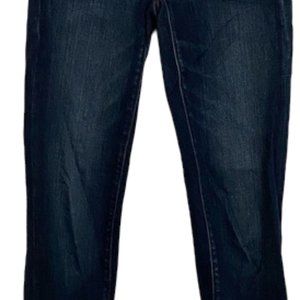 American Eagle Dark Blue Skinny Stretch Jeans